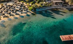 Bodrum'da deniz, gastronomi ve iyi yaşam bir arada