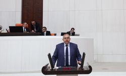 Saadet partili vekilden yol eleştirisi: Bakanın söz verdiği yola başlanmadı