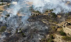 Bilecik'te ağaçlık arazide çıkan yangın kontrol altına alındı