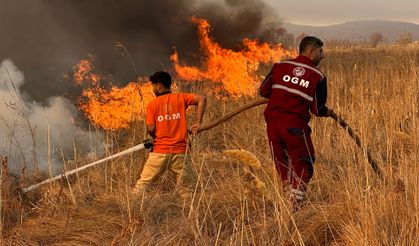Yüksekova kuş cenneti alev alev yanıyor