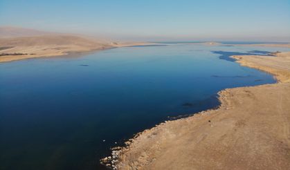 Çıldır Gölü kısmen dondu: Atlı kızaklar için geri sayım başladı