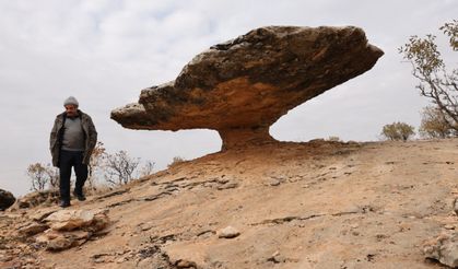 6 milyon yıllık hazine! Buzul çağından kalan dev miras
