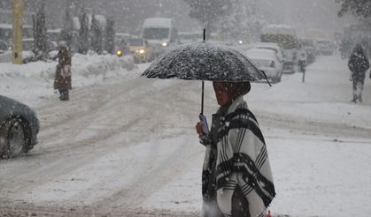 Ağrı'da kar yağışı etkili oldu