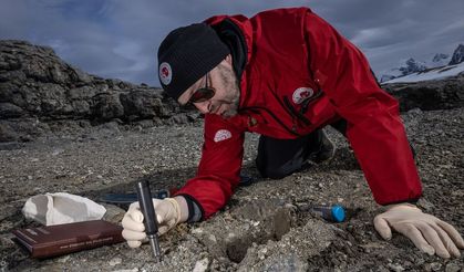 Türk bilim insanları Antarktika'da: Antiviral ilaç ve biyogübre umudu