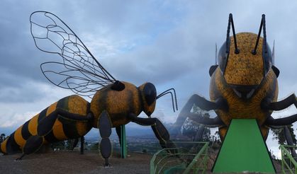 Dünyanın en büyük arısı! Guinness yolunda 14 metrelik devasa yapı