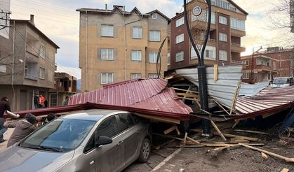 Ordu'da fırtına ağaçları devirdi! 11 evin çatısı uçtu
