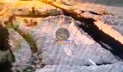 Kurt sürüsünü gördü silahına değil küreğe sarıldı | VİDEO