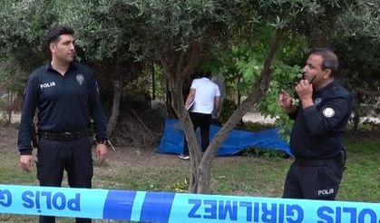 Antalya'da bir kişi ağaçlık alanda ölü bulundu
