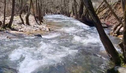 Yağışlar Bursa'da barajları doldurdu, dereler coştu