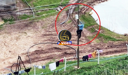 ▶️ Dronu görünce kaçak hatları iptal etti! I VİDEO