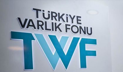Türkiye Sigorta'nın yüzde 5'i yabancılara satıldı