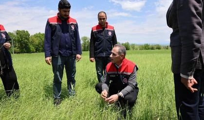 Akyaka’da dolu sonrası hasar tespit çalışmaları