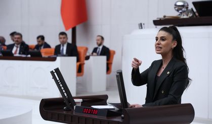 Özcan, Türker'in iddialarını Meclis'e taşıdı