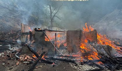 Kastamonu'da bir evde çıkan yangın ormanlık alana sıçradı