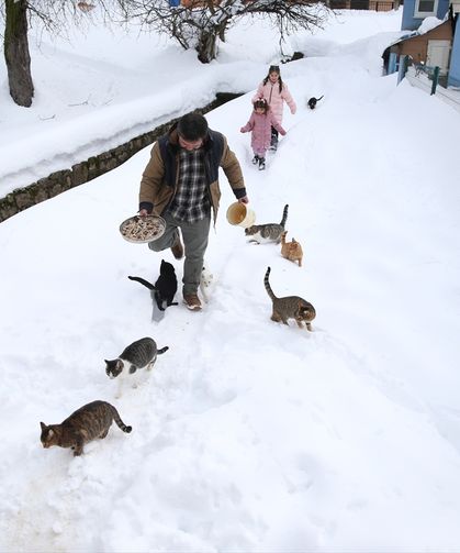 Karda sıraya giren kedilerin kahramanı: O imam