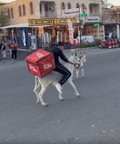 Ehliyeti kaptırdı, siparişe eşekle çıktı!