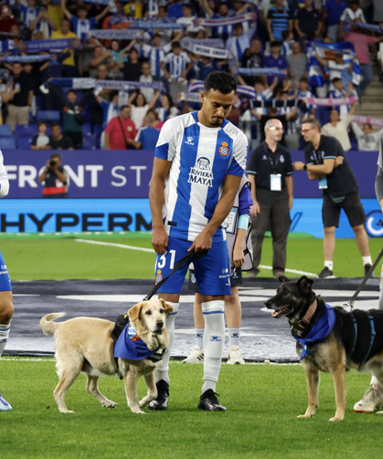 RCD Espanyol'dan örnek davranış: Sahaya barınak köpekleriyle çıktılar