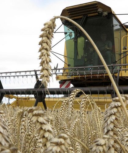 Çiftçilere 129,3 milyon liralık tarımsal destekleme ödemesi bugün yapılıyor