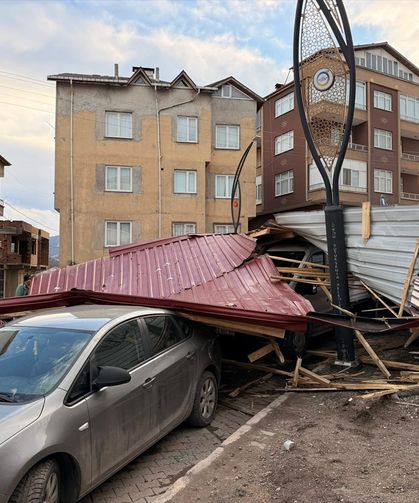 Ordu'da fırtına ağaçları devirdi! 11 evin çatısı uçtu