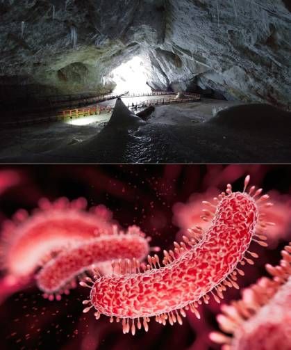 Romanya’da korkutan keşif: 5 bin yıllık buzun içinden süper bakteri çıktı