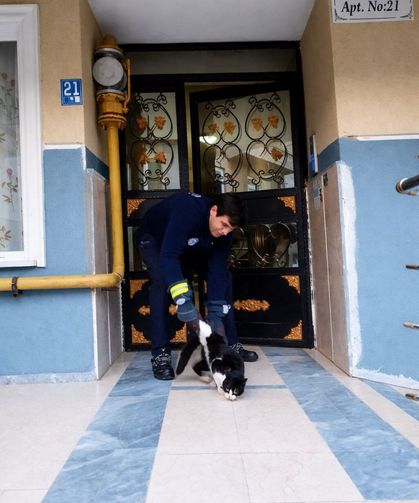 Tekirdağ Muratlı'da gaz borusunda mahsur kalan kedi kurtarıldı