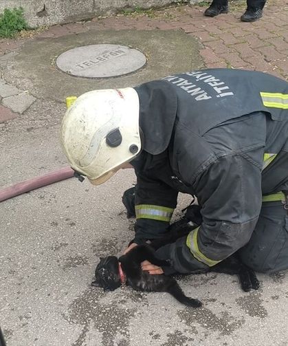 Yangında baygın bulunan kedi kalp masajı ile hayata döndü
