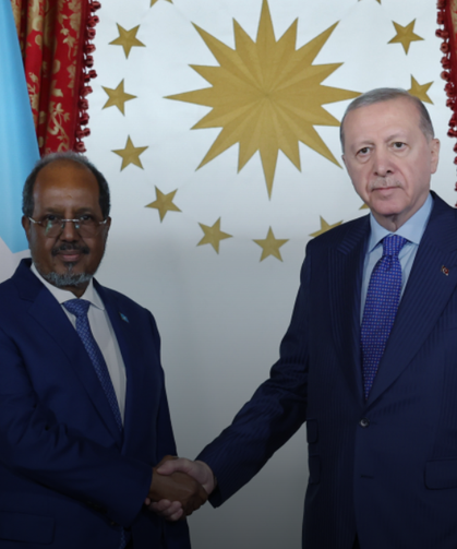 Cumhurbaşkanı Erdoğan, Somali Cumhurbaşkanı Mahmud ile görüştü