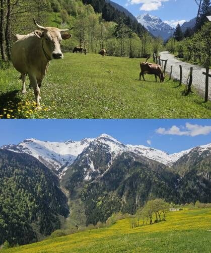 Alpler değil Rize Kaçkar