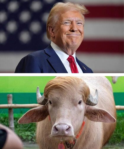 Trump kaderini değiştirdi! Bangladeş'te dikkat çeken karar!
