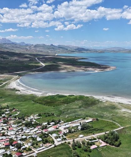 Kuraklık sonrası can geldi! Van'daki kuş cennetinde büyüleyici görüntü