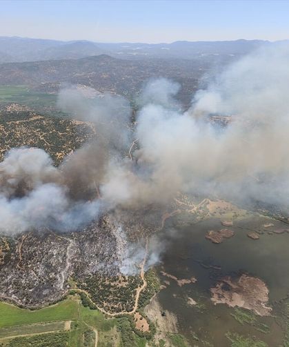 Aydın'da zeytinlik yangınına havadan ve karadan müdahale sürüyor