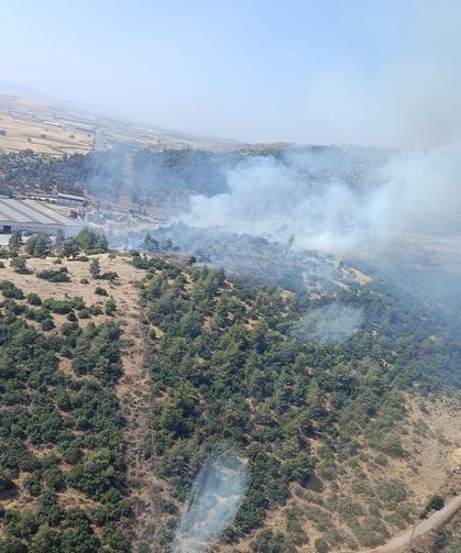 Kahramanmaraş'ta orman yangını kısa sürede kontrol altına alındı