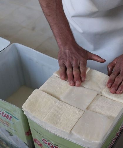 Bursa'nın meşhur Sorgun peyniri artık coğrafi işaretli