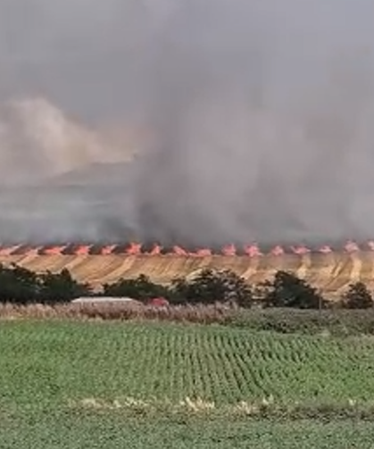Bandırma'da yangın tarım arazilerine sıçradı