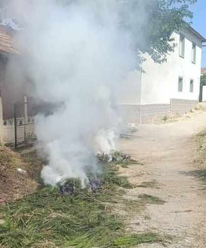 Orman ve evleri tehdit eden anız yangını söndürüldü