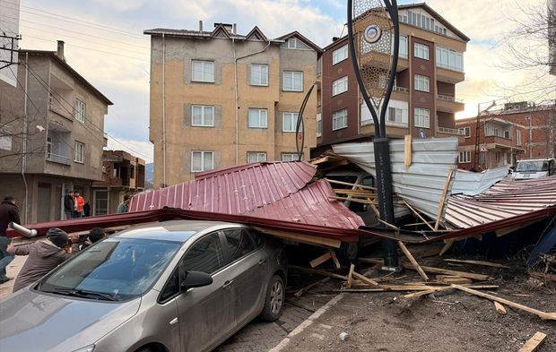 Ordu'da fırtına ağaçları devirdi! 11 evin çatısı uçtu
