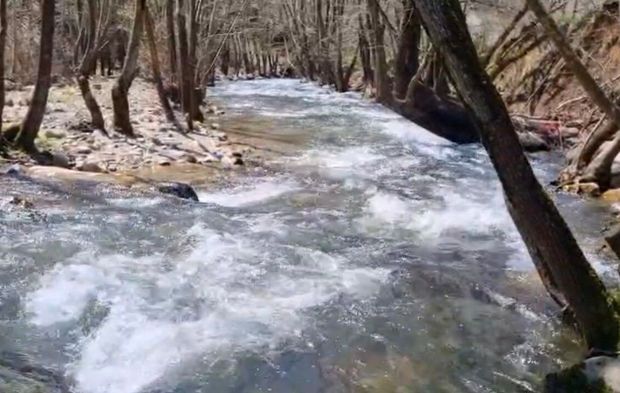 Yağışlar Bursa'da barajları doldurdu, dereler coştu
