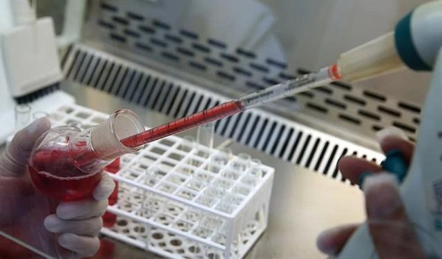 Hastalara umut oldu: “Evrensel böbrek” üretildi