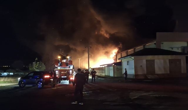 Samsun'da geri dönüşüm fabrikasında yangın çıktı