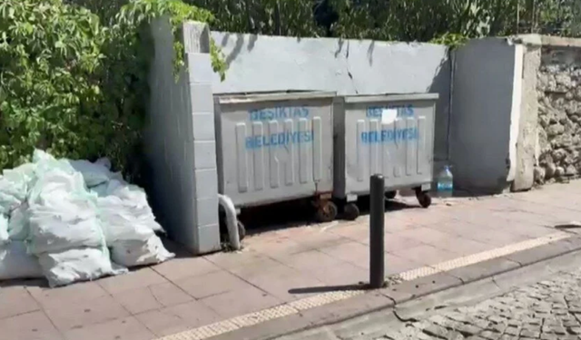 Bebeğini öldürüp çöpe atan anne için müebbet hapis cezası talebi