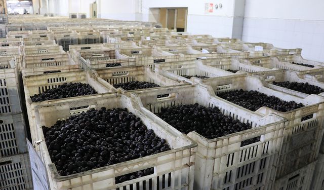 Marmarabirlik'in gözü Orta Doğu pazarında!