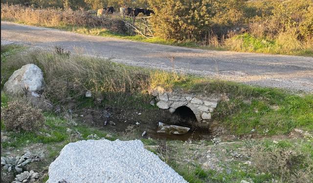 Boş arazide yeni doğmuş bebek cesedi bulundu