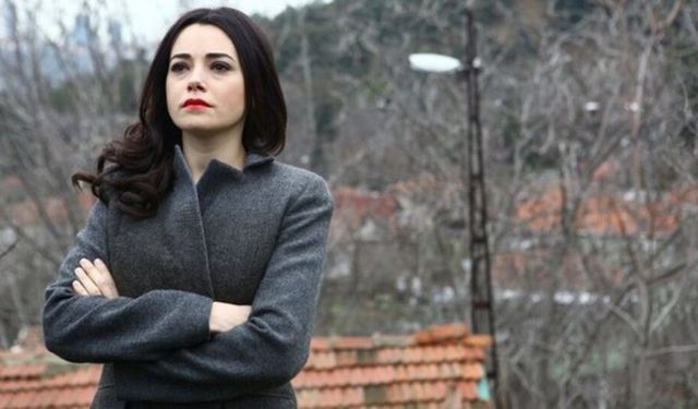 Özgü Namal çocuklarıyla beraber trafik kazası geçirdi