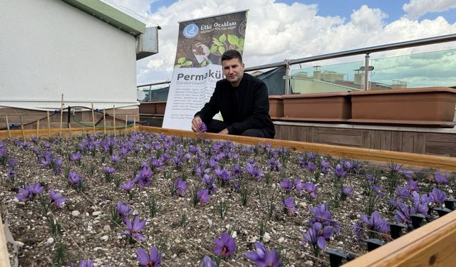 Ülkü Ocakları Genel Merkezi'nin Terasında Gizemli Görüntüler