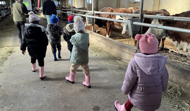 Anaokulu öğrencileri hayvancılık ve tarımı sahada öğreniyor