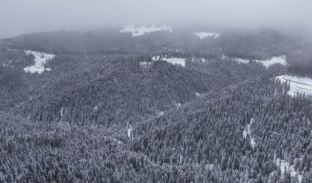 Beyaza bürünen Ilgaz Dağı havadan görüntülendi