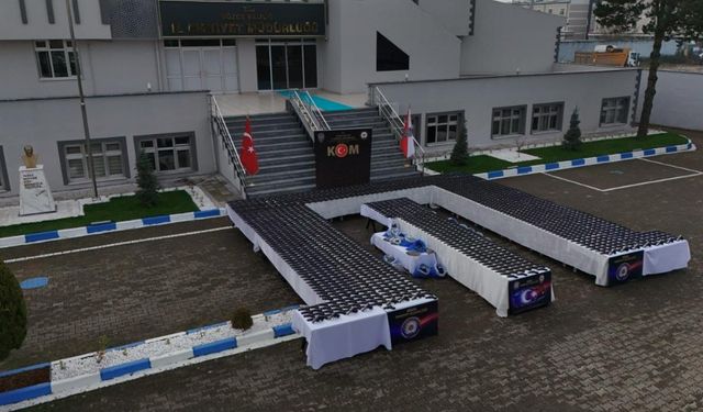 Düzce'de silah kaçakçılığı operasyonu: Çok sayıda gözaltı