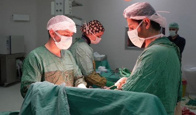 Karın ağrısıyla gitti, böbreğinden 2,2 kiloluk tümör alındı