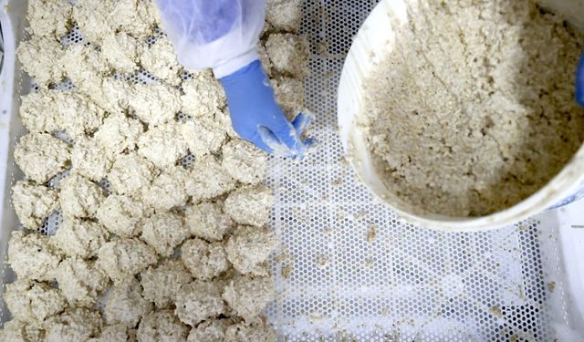 Malatya Tarhanası dünyaya açılıyor!