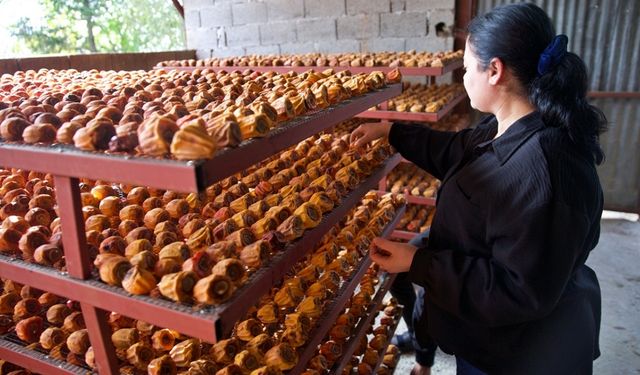 Trabzon hurmasının kurusuna rağbet! Siparişlere yetişemiyorlar!